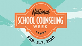National School Counseling Week as an Advocacy Opportunity
