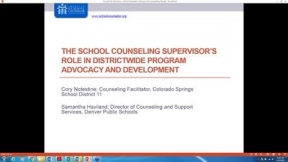 School Counseling Supervisor's Role in Districtwide Program Advocacy & Development
