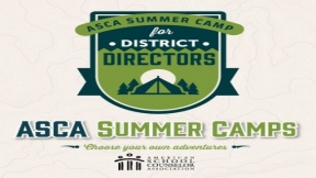 District Director Summer Camp: Align the ASCA...