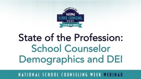 School Counselor Demographics and DEI
